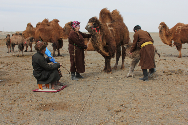 photo of Mongolia